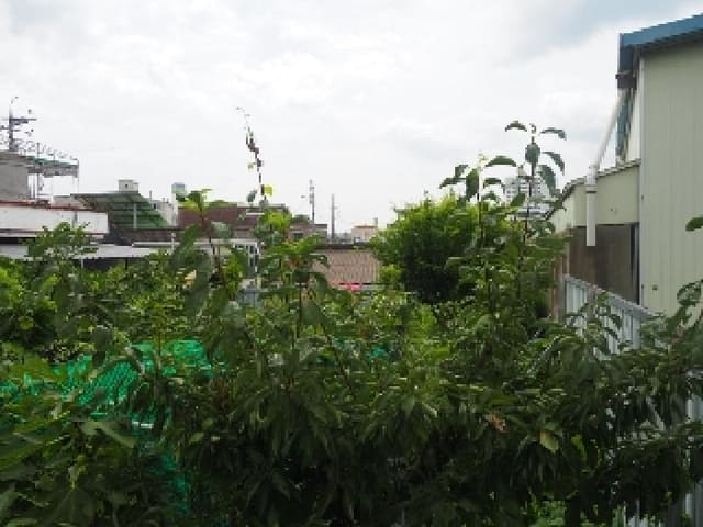 B000423202501300014793.jpg