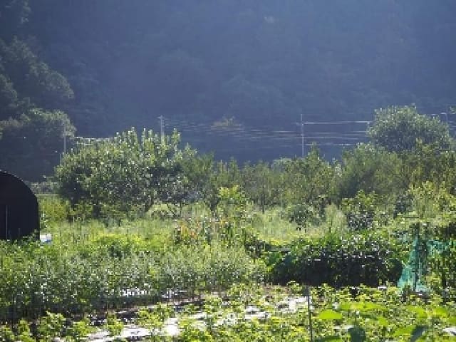 B000423202501300015301.jpg