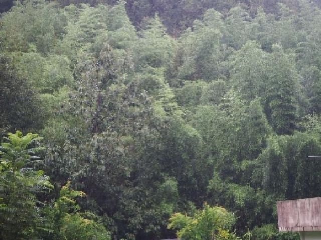 B000423202501300015544.jpg