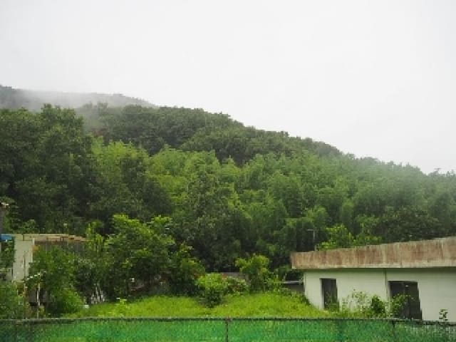 B000423202501300015543.jpg