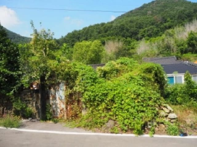 B000423202501300015612.jpg