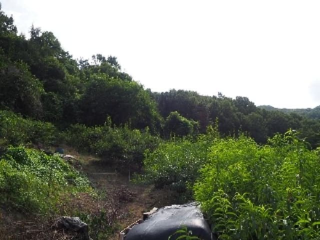 B000423202501300016081.jpg