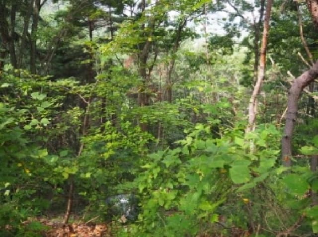 B000423202501300016083.jpg