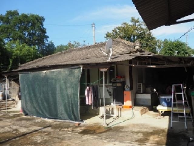 B000423202501300018442.jpg