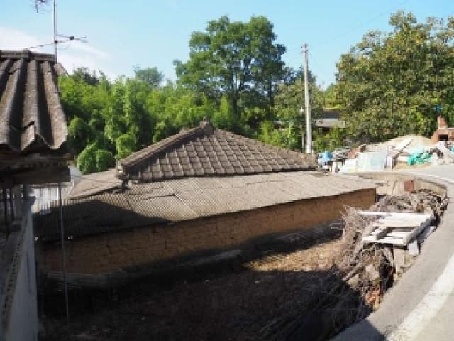 B000423202501300018444.jpg