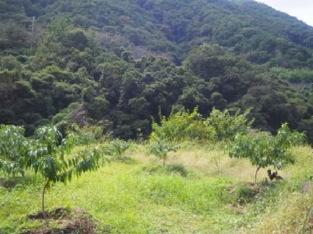 B000423202501300018684.jpg