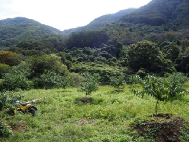 B000423202501300018682.jpg