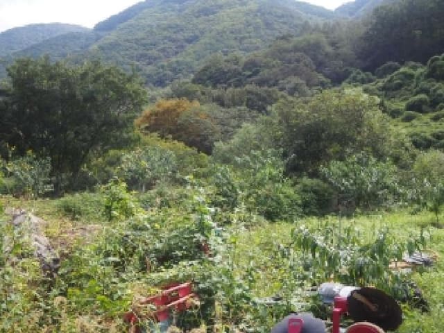 B000423202501300018683.jpg