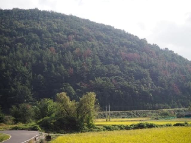 B0004232025013000197426.jpg