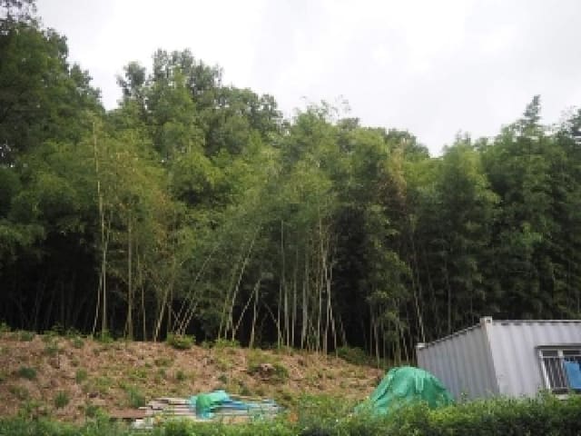 B0004232025013000197423.jpg
