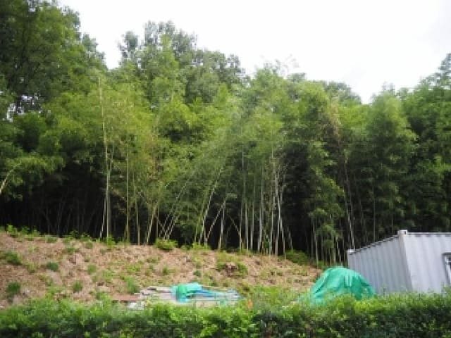 B0004232025013000197425.jpg