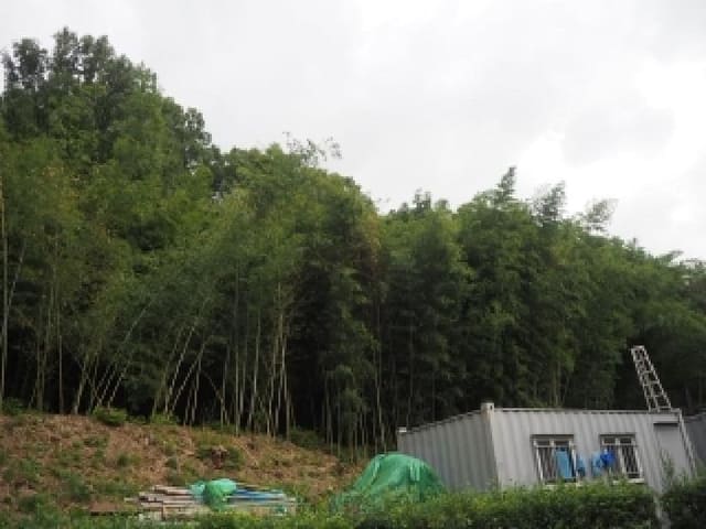 B0004232025013000197424.jpg