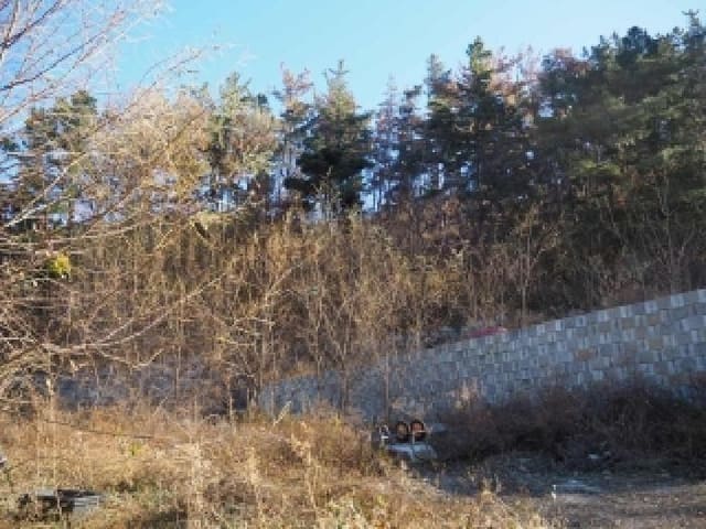 B000423202501300021441.jpg