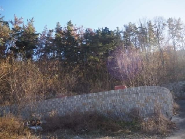 B000423202501300021442.jpg