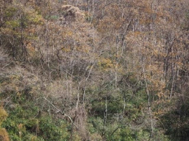 B000423202501300021683.jpg