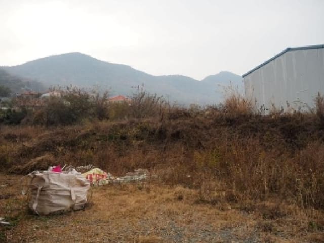 B000423202501300021754.jpg