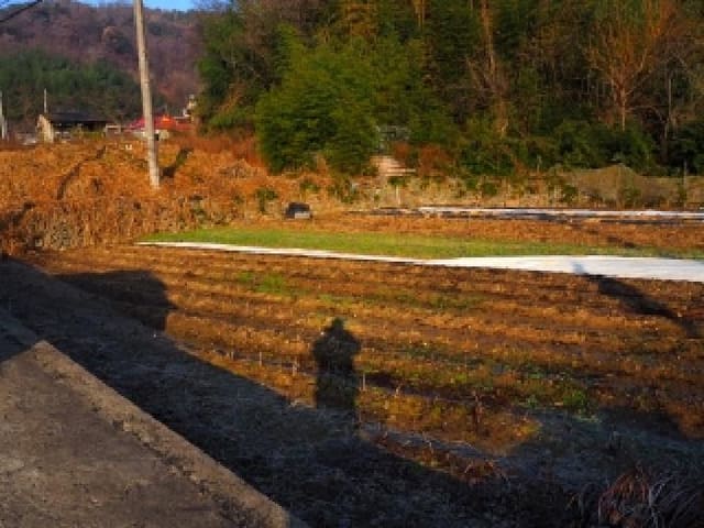 B000423202501300022982.jpg