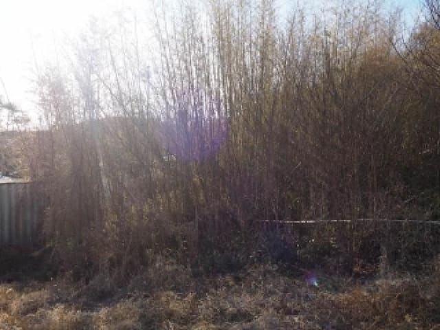 B000423202501300023422.jpg