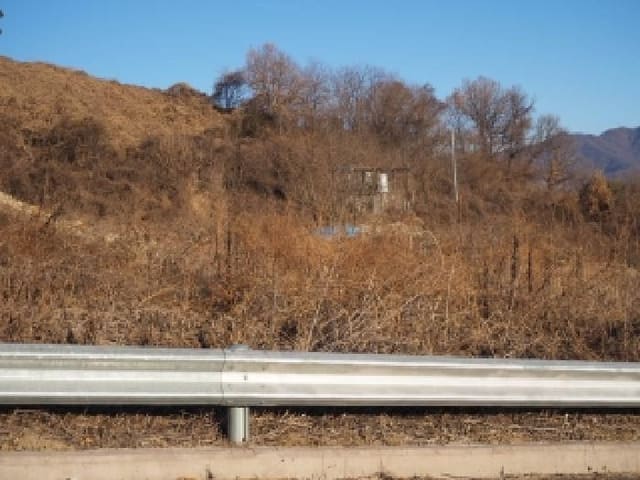 B000423202501300023594.jpg