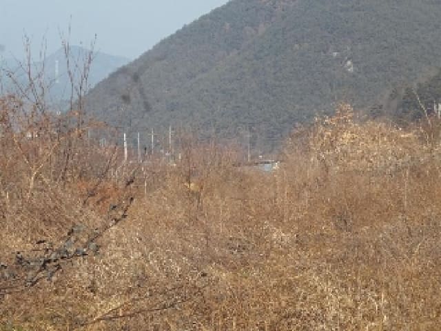 B000423202501300100533.jpg