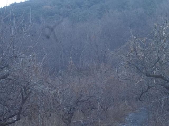 B0004232025013001015213.jpg