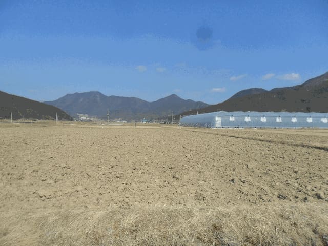 B000423202501300102214.jpg