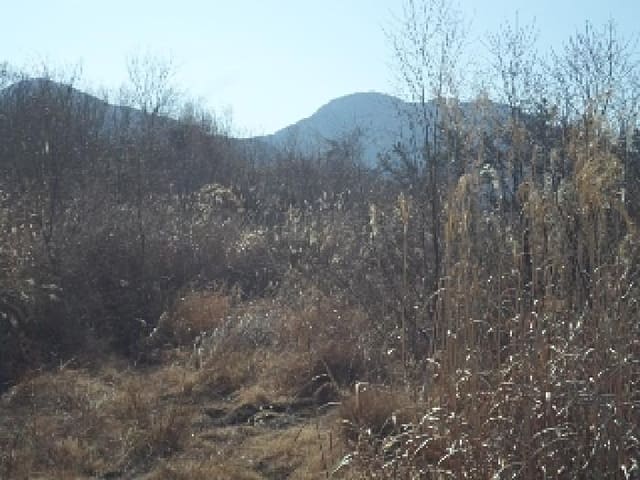 B000423202501300102334.jpg