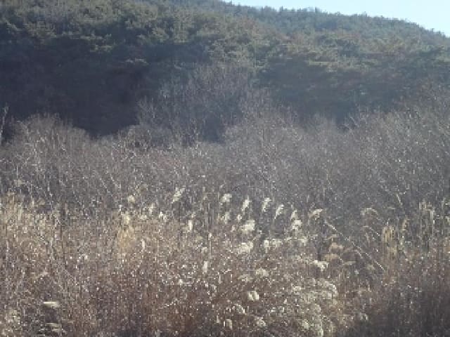 B000423202501300102332.jpg