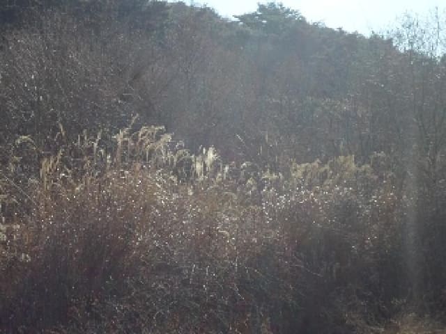 B000423202501300102333.jpg