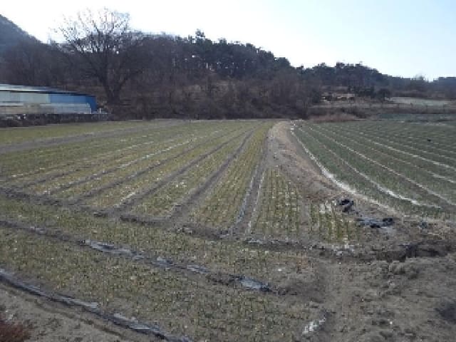 B000423202501300102341.jpg
