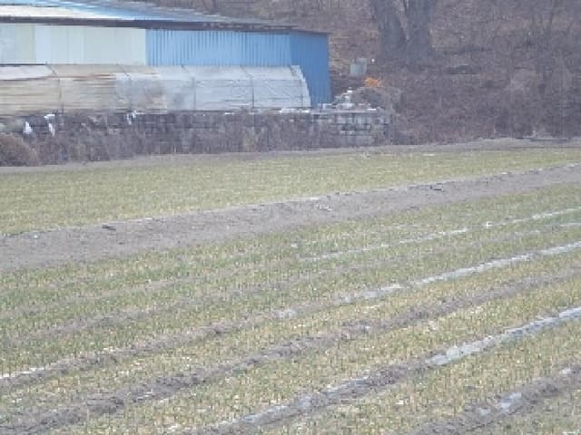 B000423202501300102343.jpg