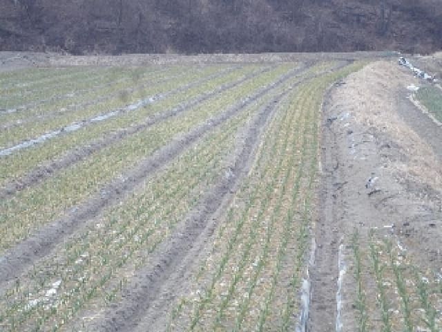 B000423202501300102344.jpg