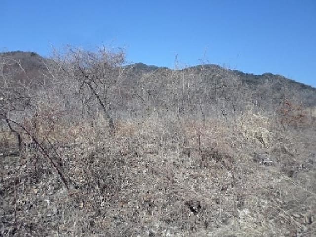 B000423202501300102402.jpg
