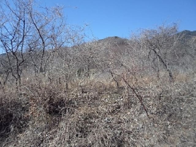 B000423202501300102401.jpg