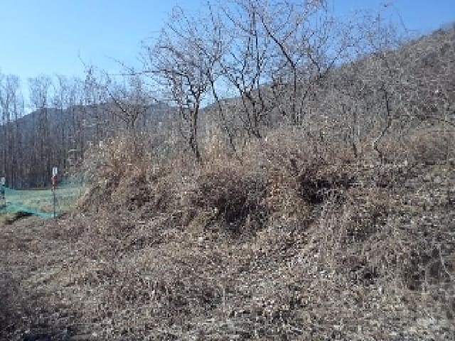 B000423202501300102404.jpg