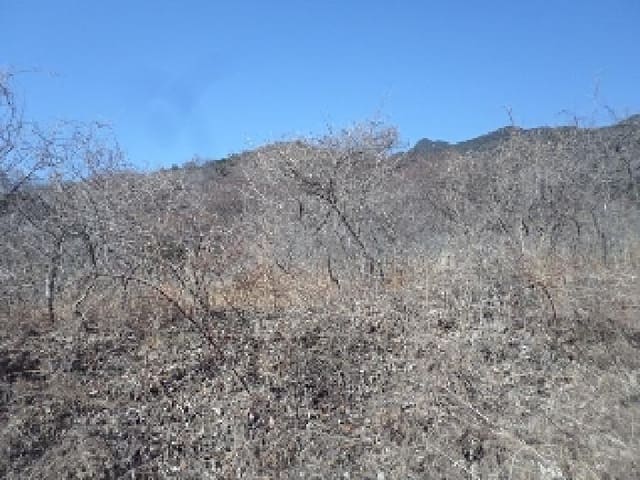 B000423202501300102403.jpg