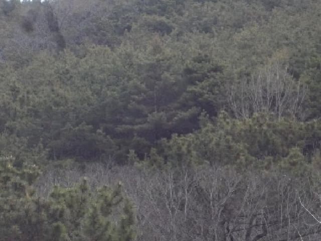 B000423202501300102424.jpg