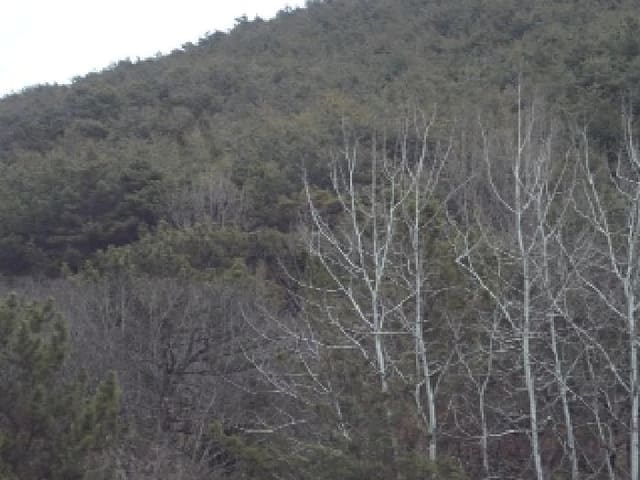 B000423202501300102423.jpg