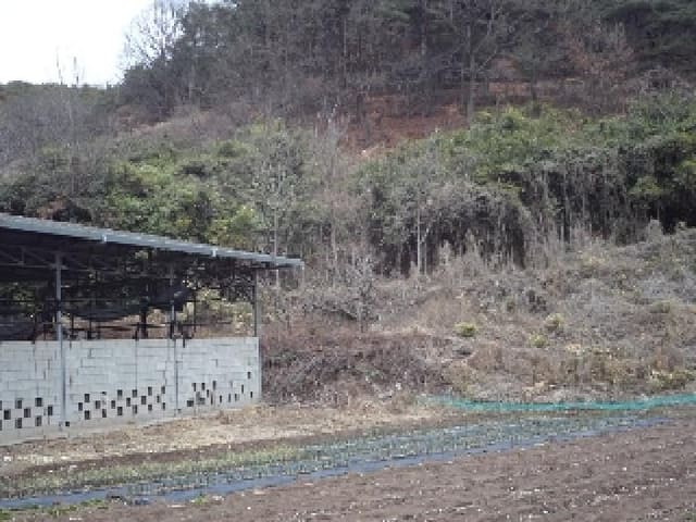 B000423202501300102422.jpg