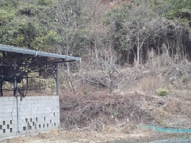 B000423202501300102421.jpg