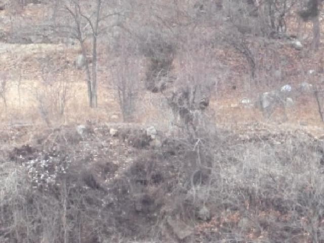 B000423202501300102442.jpg