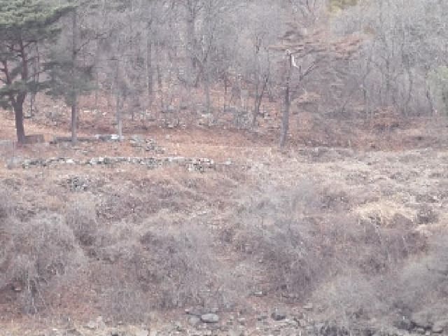 B000423202501300102441.jpg
