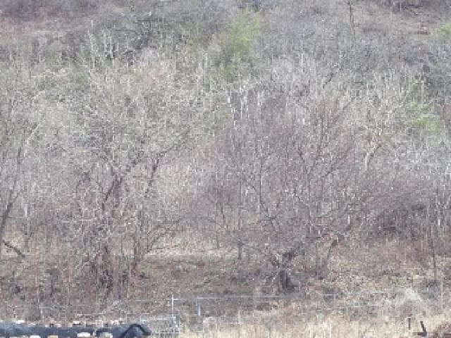 B000423202501300102491.jpg