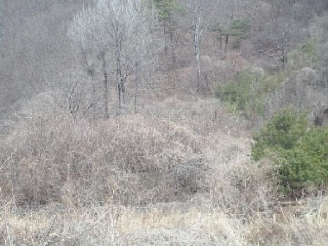 B000423202501300102492.jpg