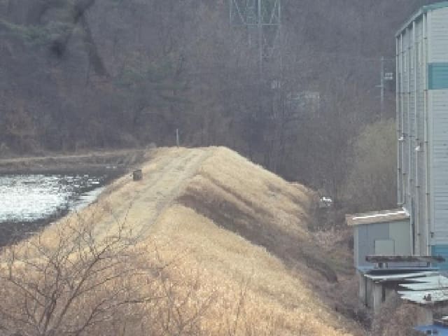 B000423202501300102613.jpg