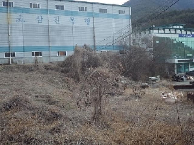 B000423202501300102612.jpg