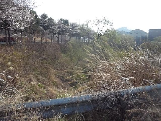 B000423202501300102641.jpg