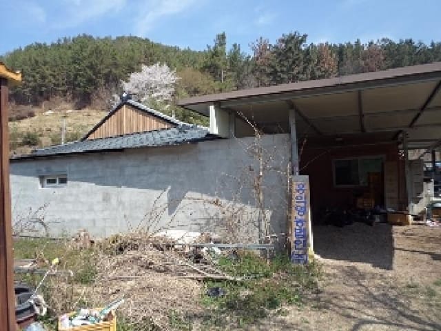 B000423202501300102693.jpg