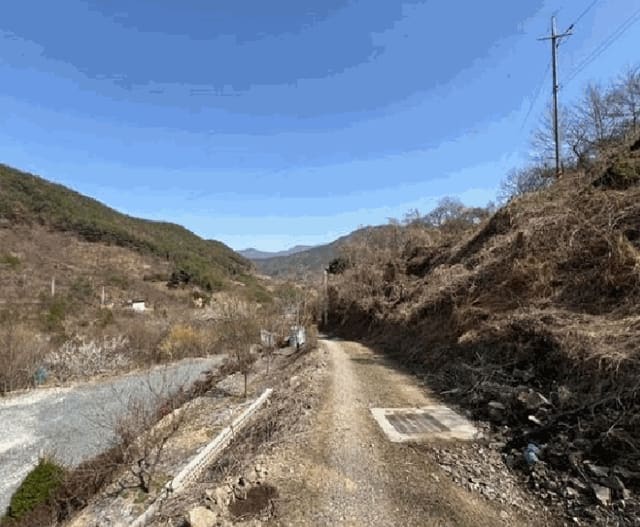 B0004232025013001026917.jpg