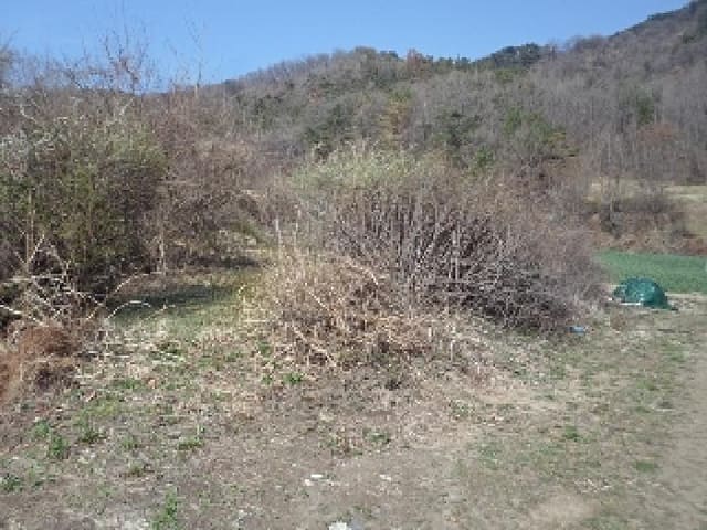 B000423202501300102731.jpg